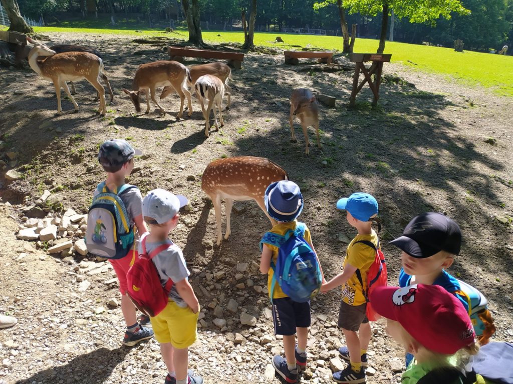 Dzieci (5) stoi przed pastwiskiem dla zwierząt.Oglądają pasące się i stojące przed nimi daniele,  