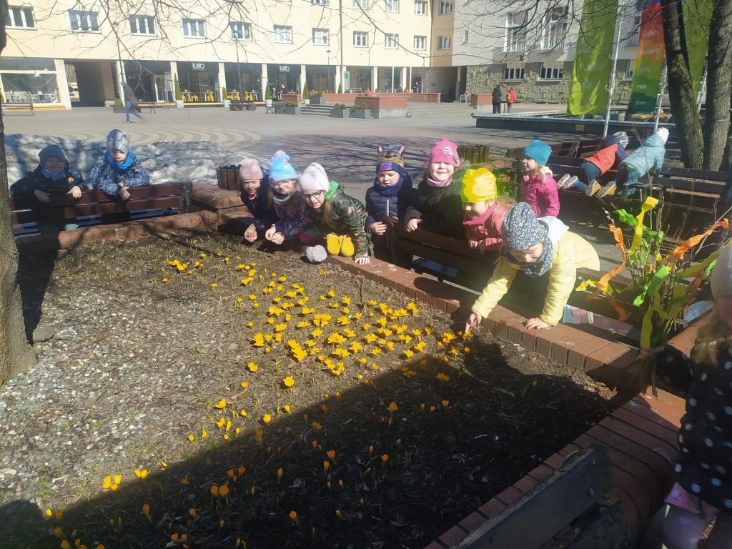 Dzieci stoją wokoło klombu i oglądają żółte krokusy na klombie. 
