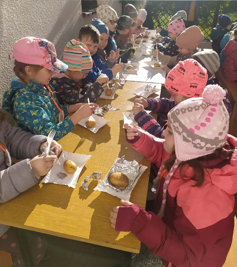 Dzieci siedzą przy dużym stole po jego lewej i prawej stronie. Na stole przed każdym dzieckiem biała papierowa tacka , na której znajduje się upieczony w ognisku ziemniak. Ziemniaki dzieci jedzą plastikowymi widelczykami.